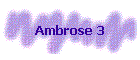 Ambrose 3