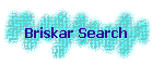 Briskar Search